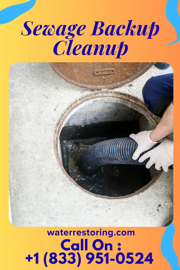 Sewage Backup Cleanup in Crestwood, KY