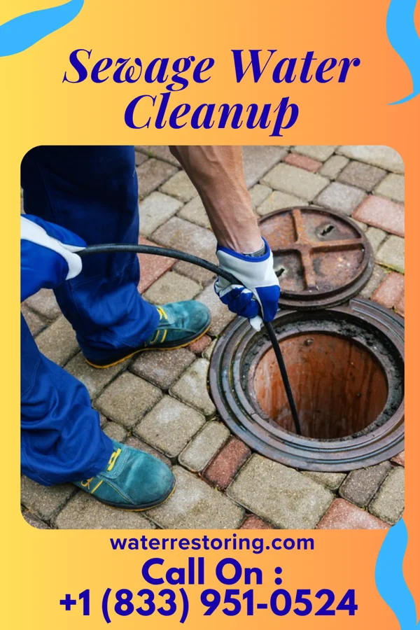 Sewage Water Cleanup in Crestwood, KY
