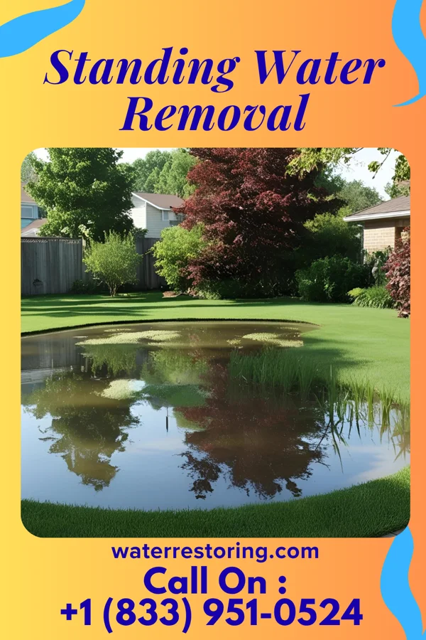 Standing Water Removal in Crestwood, KY